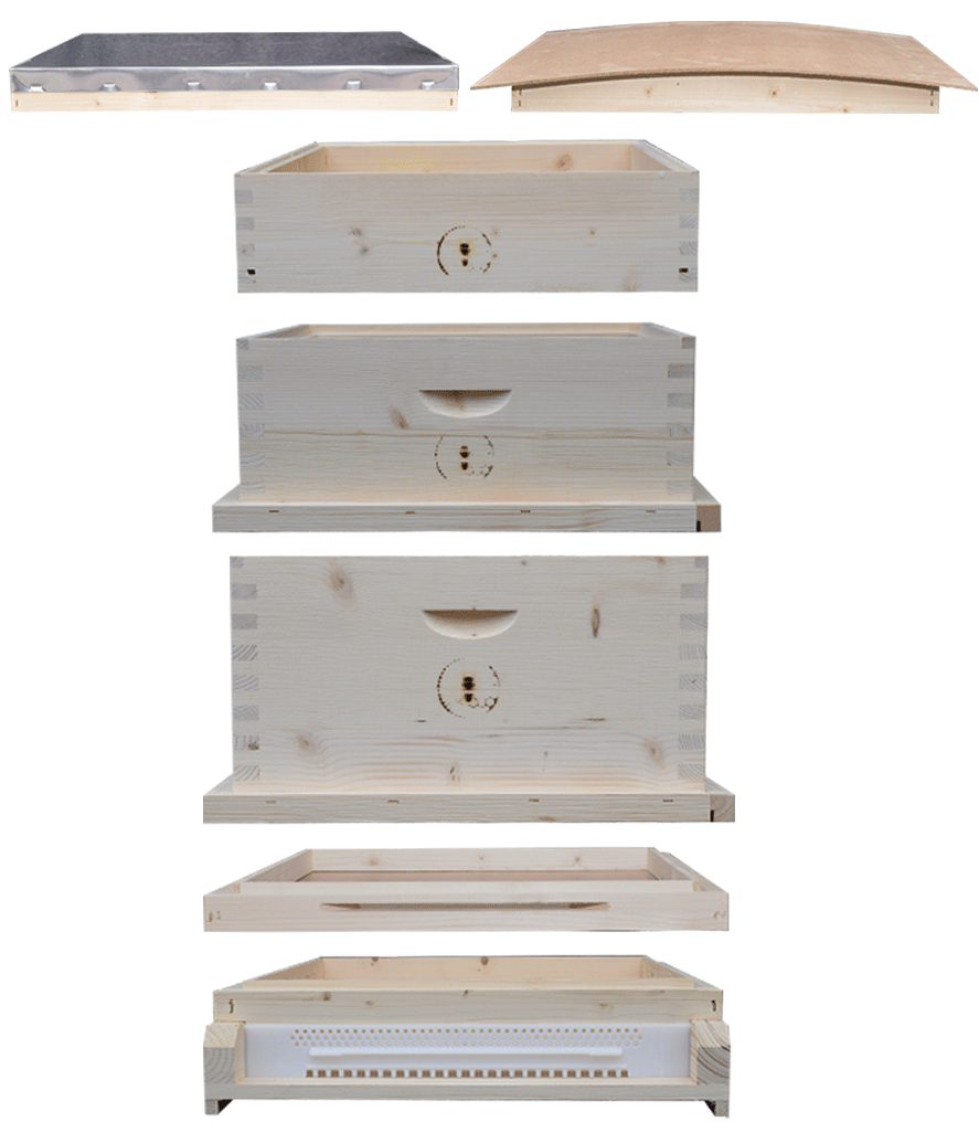 SeWol Kärtner Magazin Kärntner Magazin